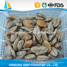 new offer frozen boiled mussel meat with best service and quality assurance